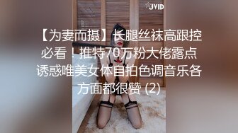 【为妻而摄】长腿丝袜高跟控必看！推特70万粉大佬露点诱惑唯美女体自拍色调音乐各方面都很赞 (2)