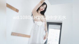 wd.1080p.HD国语中字无水印