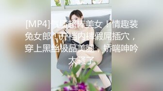 [MP4]气质超棒美女！情趣装兔女郎！开档内裤假屌插穴，穿上黑丝极品美腿，娇喘呻吟太骚了