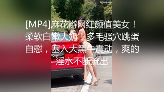 [MP4]麻花辫网红颜值美女！柔软白嫩大奶！多毛骚穴跳蛋自慰，塞入大黑牛震动，爽的淫水不断流出