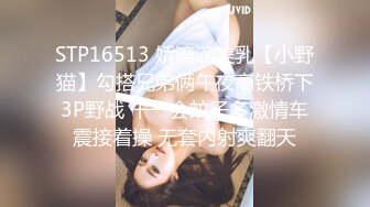 STP16513 娇滴滴美乳【小野猫】勾搭兄弟俩午夜高铁桥下3P野战 干一会蚊子多激情车震接着操 无套内射爽翻天