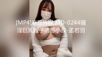 [MP4]麻豆传媒 MD-0244骚淫巨乳嫂子诱惑小叔-孟若羽