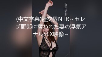 (中文字幕)社交界NTR～セレブ野郎に奪われた妻の浮気アナルSEX映像～