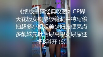 《绝版重磅经典收藏》CP界天花板女厕隔板缝洞中特写偸拍超多小姐姐美少妇方便亮点多靓妹先吐后尿高跟女尿尿还把B掰开 (6)