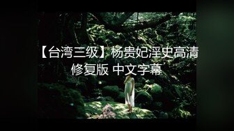 【台湾三级】杨贵妃淫史高清修复版 中文字幕