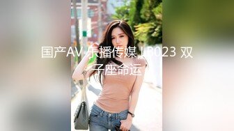 国产AV 乐播传媒 LB023 双子座命运