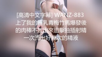 [高清中文字幕] WANZ-883 上了我的巨乳青梅竹馬爆發後的肉棒不拔出來追擊抽插射精一次流出好幾次的精液