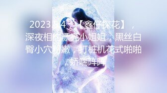 2023.5.4，【鑫仔探花】，深夜相约漂亮小姐姐，黑丝白臀小穴粉嫩，打桩机花式啪啪，娇喘阵阵