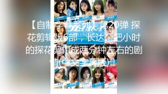 【自制字幕系列】第20弹 探花剪辑版6部，长达个把小时的探花剪辑成两分钟左右的剧情(中文字幕版)！