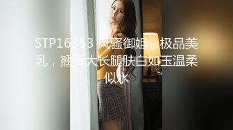 STP16553 风骚御姐，极品美乳，翘臀大长腿肤白如玉温柔似水