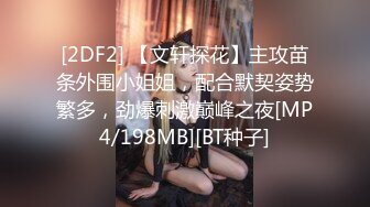 [2DF2] 【文轩探花】主攻苗条外围小姐姐，配合默契姿势繁多，劲爆刺激巅峰之夜[MP4/198MB][BT种子]