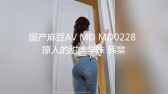 国产麻豆AV MD MD0228 撩人的甜美学妹 韩棠