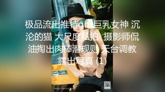 极品流出推特ghs巨乳女神 沉沦的猫 大尺度私拍  摄影师侃油掏出肉棒潜规则 天台调教露出写真 (1)