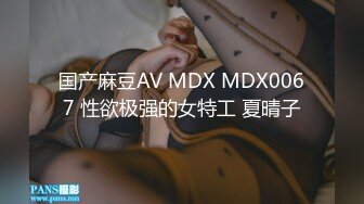 国产麻豆AV MDX MDX0067 性欲极强的女特工 夏晴子